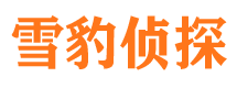 武邑市侦探调查公司